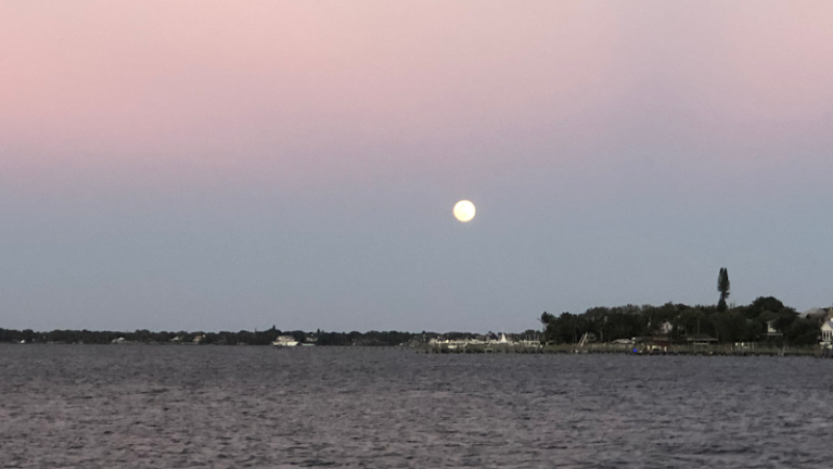 The Florida Dentists