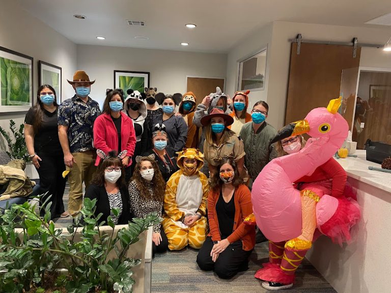 photo 7add8d4b f74e 4086 8a22 6b48edcc746a 768x576