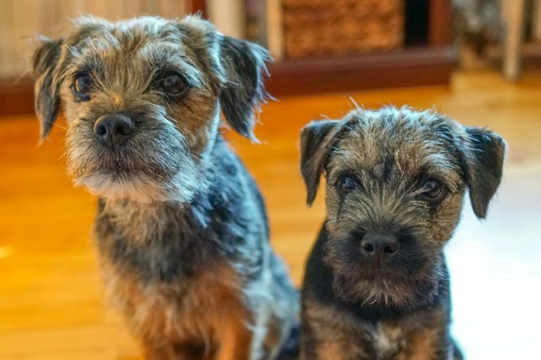 photo fdd31677 827d 4471 90b9 96d427207798 768x512